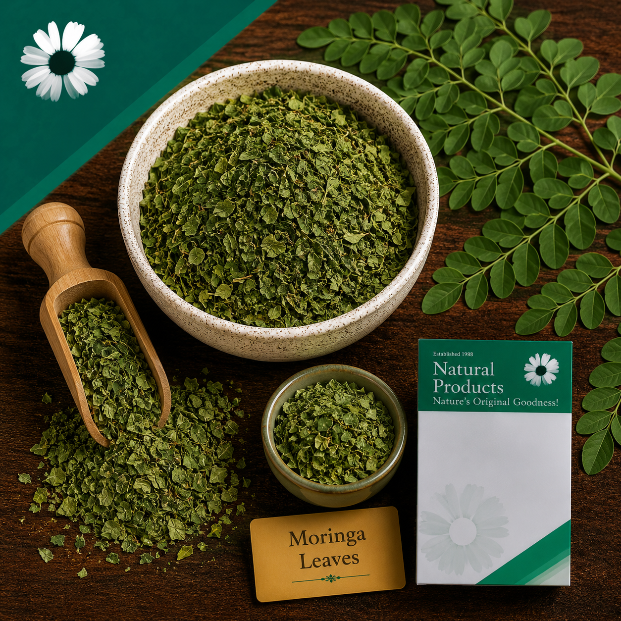 Dried Moringa Leaves Herbal Tea