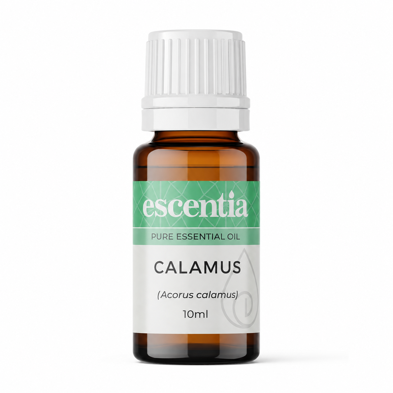 Escentia Calamus Essential Oil